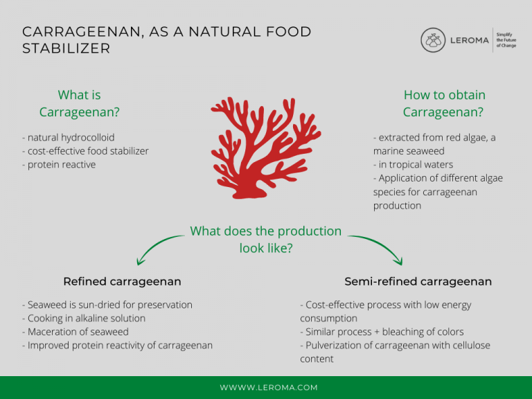 E407 Carrageenan Applications and Dosage in the Food Industry